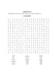 Animal word search