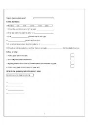 English Worksheet: plantlifre