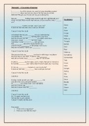 English Worksheet: 05 Top of the Pops (Song Lyrics) 5 Seconds of Summer, Amnesia. Listening Comprehension and Vocabulary
