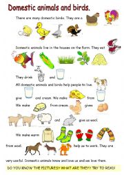 English Worksheet: Reading-comprehension. Domestic animals and birds.