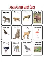 English Worksheet: African Animal Match Cards