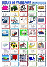 English Worksheet: Means of transport multiple choice activity