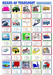 Means of transport multiple choice activity