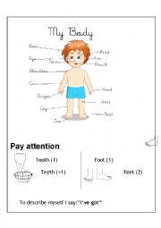 English Worksheet: Body Parts