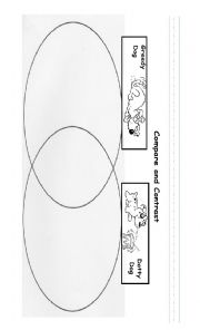 English Worksheet: Compare and Contrast 