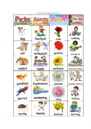 English Worksheet: Concept sorts Activity2