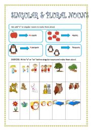 SINGULAR AND PLURAL NOUNS- INDEFINITE ARTICLE