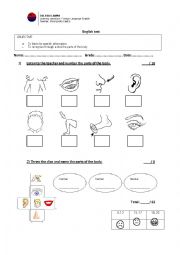 English Worksheet: Body Parts Test