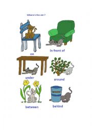 English Worksheet: Wheres  the cat  ?