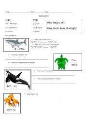 English Worksheet: Measurement Worksheet