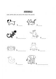 English Worksheet: ANIMALS Spelling