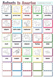 English Worksheet: Animals in America