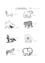 English Worksheet: Dangerous Animals 