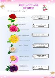 English Worksheet: Rose