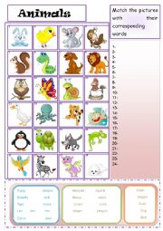 English Worksheet: animals