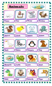 English Worksheet: animals pictionary