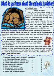 English Worksheet: What do you know about the animals in winter?