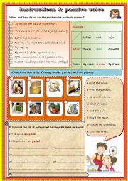 Instructions & passive voice