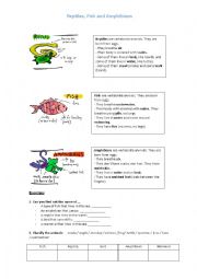 English Worksheet: Reptiles, Fish and Amphibians