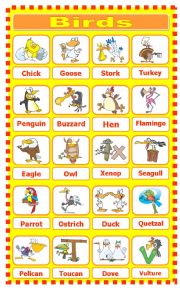 English Worksheet: Birds Pictionary