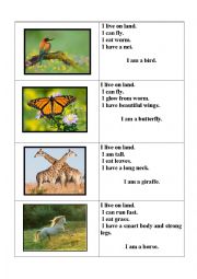 English Worksheet: Animals