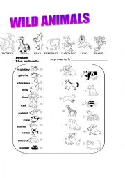 English Worksheet: wild animals