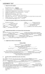 English Worksheet: assessment test
