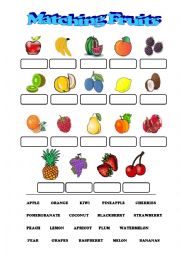 English Worksheet: Matching fruits