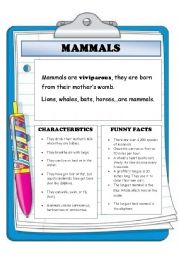 English Worksheet: Reading comprehension. Mammals.