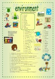 English Worksheet: environment