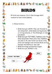 English Worksheet: Reading comprehension. Birds.