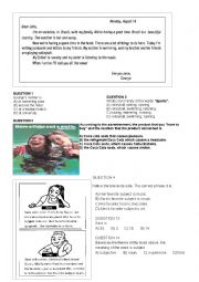 English Worksheet: text and comprehension