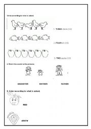 English Worksheet: numbers, colors, members of the family
