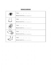 English Worksheet: Science - Body Parts