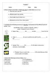 English Worksheet: Exercises about plants
