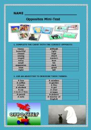 Opposites and common adjectives Test