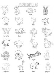 English Worksheet: Animals