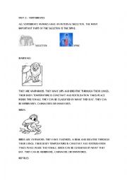 English Worksheet: VERTEBRATES