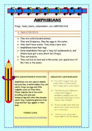 English Worksheet: Reading comprehension. Amphibians.