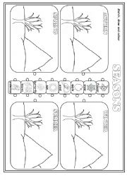 English Worksheet: Seasons