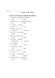 English Worksheet: Present Simple Review