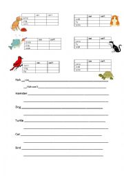 English Worksheet: Can 