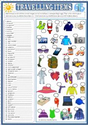 English Worksheet: Travelling items