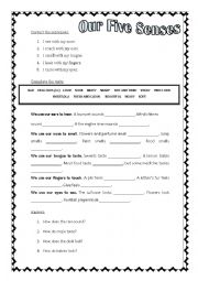 English Worksheet: OUR FIVE SENSES