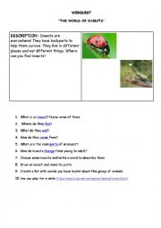 English Worksheet: Everything on insects