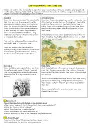 English Worksheet: Life on Plantations (could/couldnt)(texte + questions)