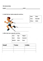 English Worksheet: Human Body 