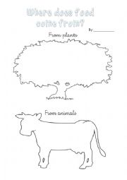 English Worksheet: Food comes from animals or plants?