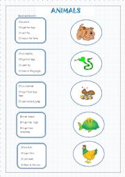 English Worksheet: Animals