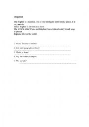 English Worksheet: dolphins